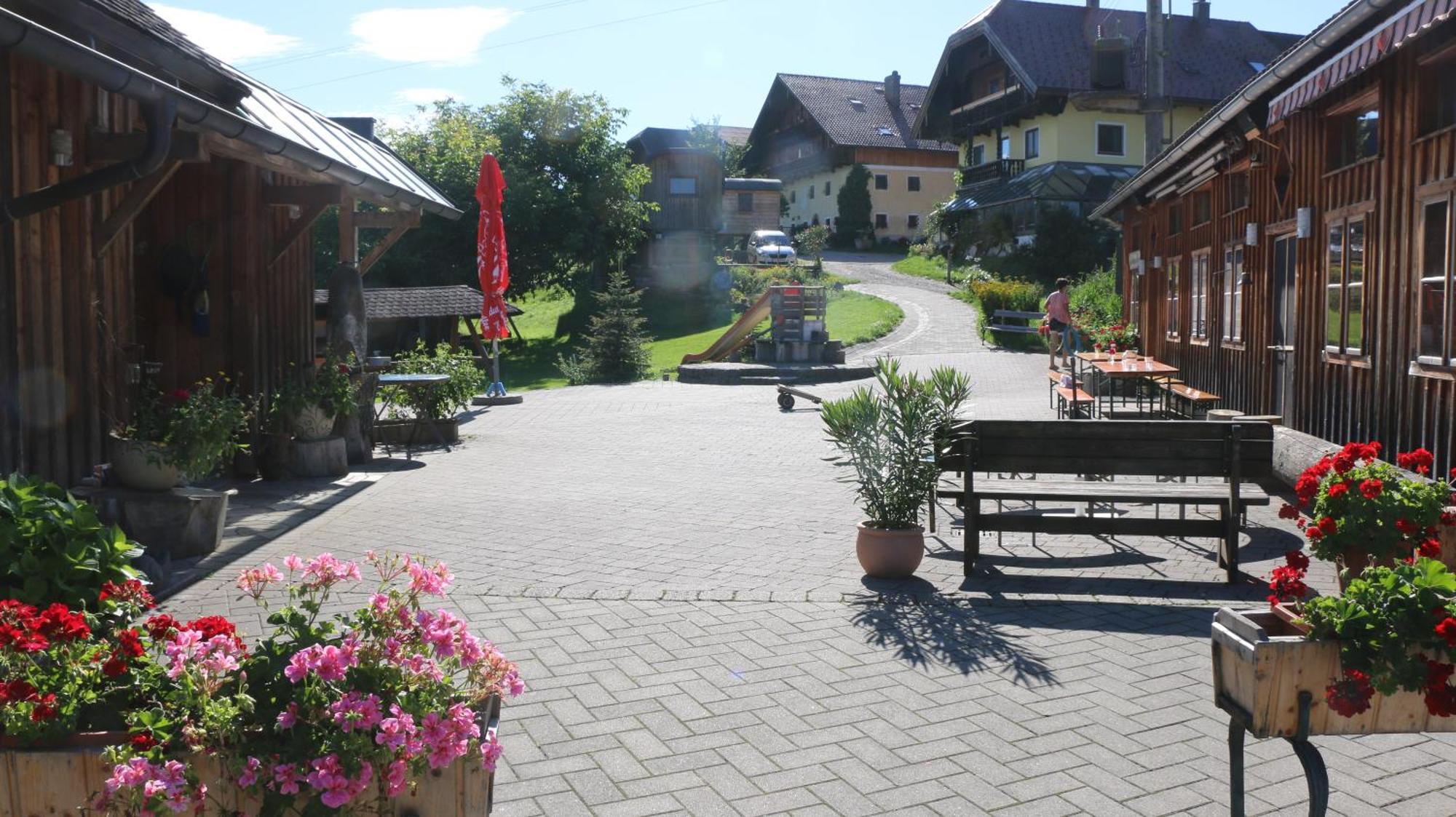Bio Archehof Zachhiesen Apartment Seekirchen am Wallersee Bagian luar foto