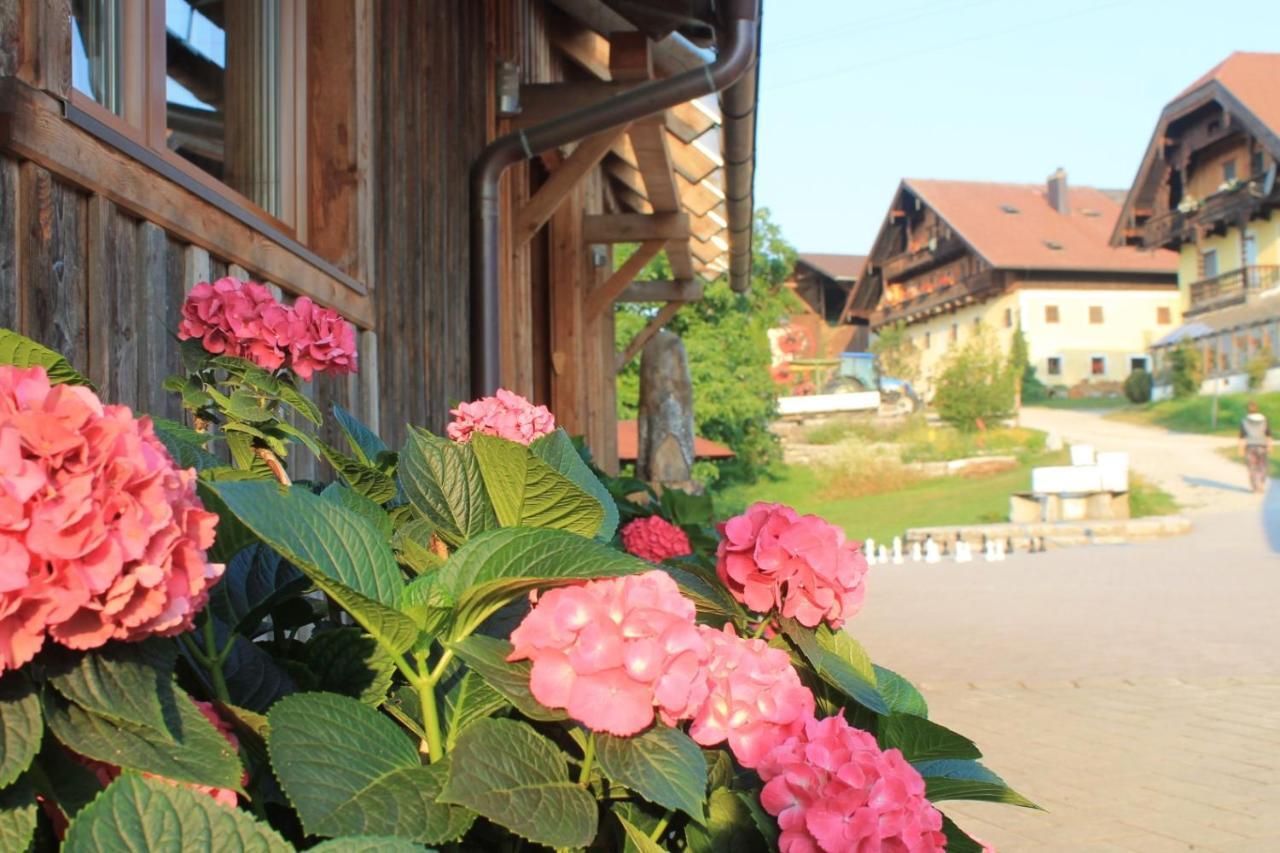 Bio Archehof Zachhiesen Apartment Seekirchen am Wallersee Bagian luar foto