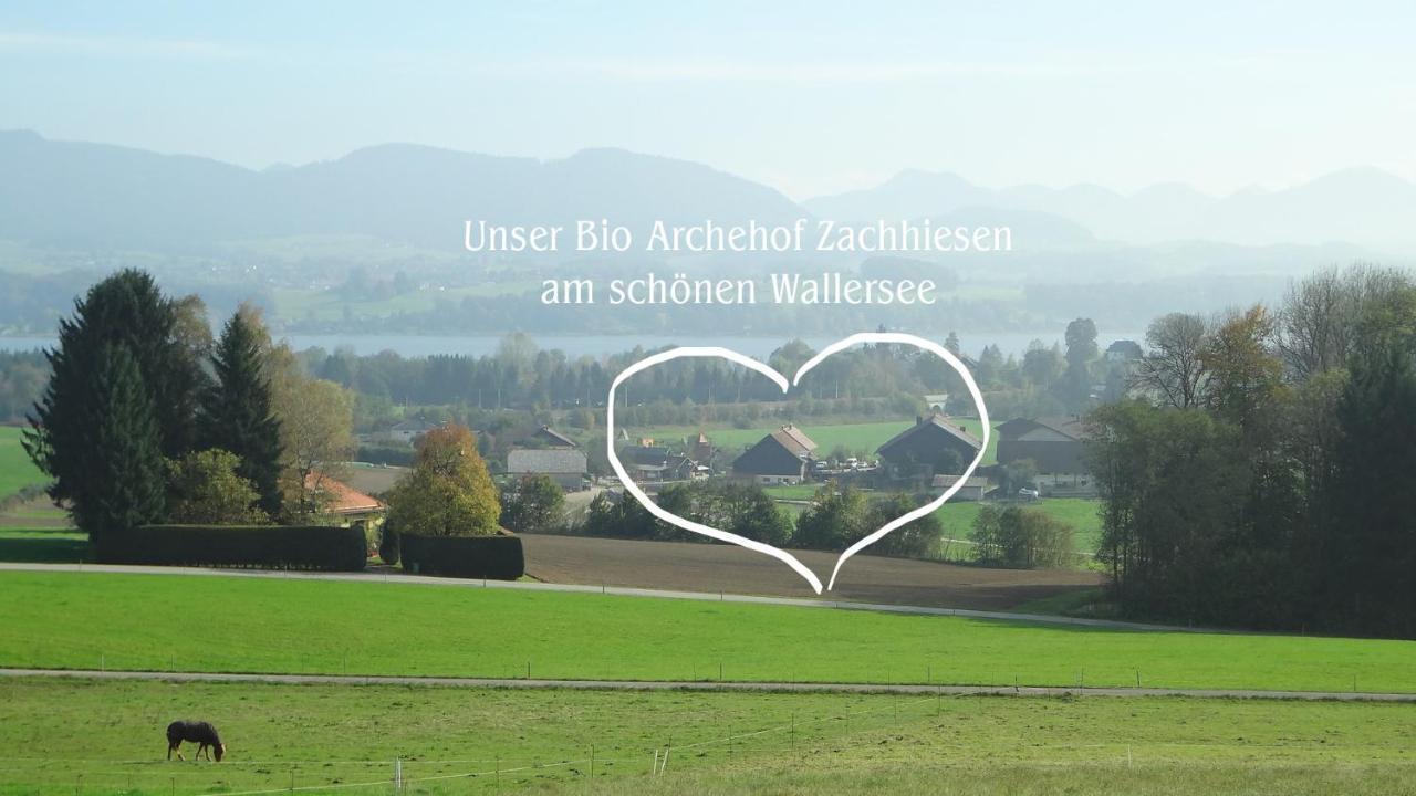 Bio Archehof Zachhiesen Apartment Seekirchen am Wallersee Bagian luar foto