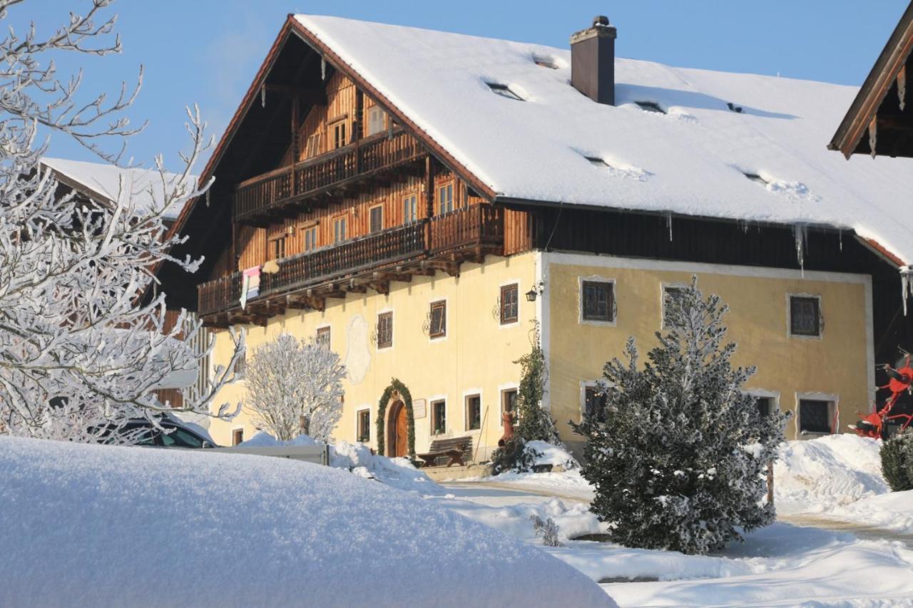 Bio Archehof Zachhiesen Apartment Seekirchen am Wallersee Bagian luar foto